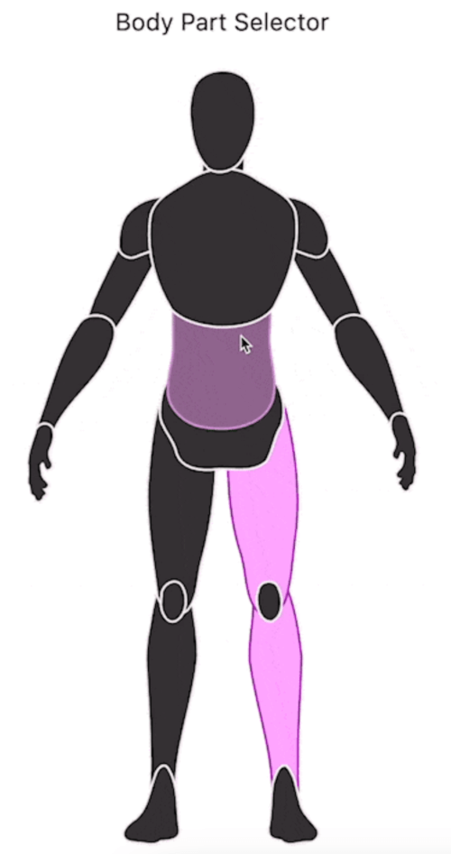 body_part_selector Card Image