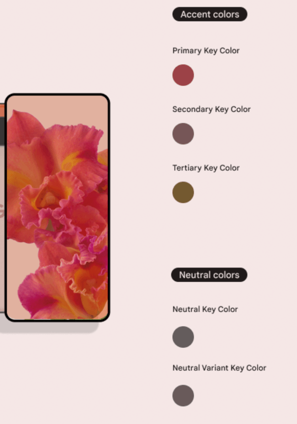 dynamic_color Card Image