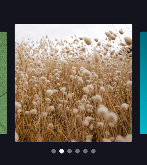 flutter_carousel_widget Card Image