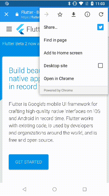 flutter_custom_tabs Card Image