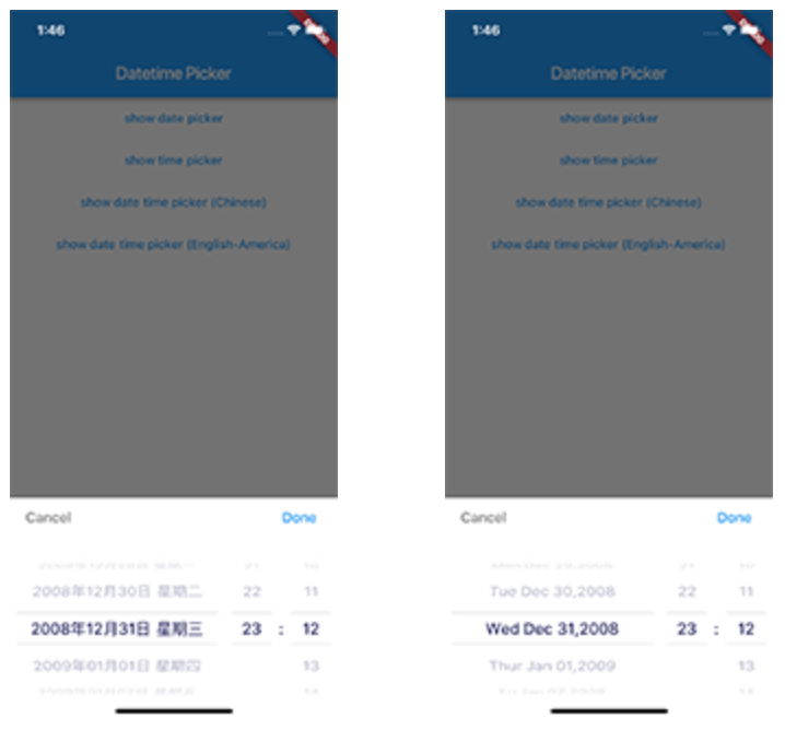 flutter_datetime_picker_plus Card Image
