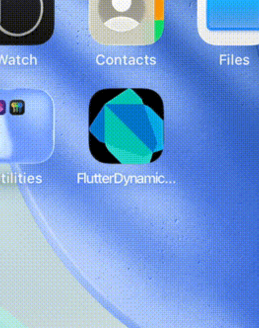 flutter_dynamic_launcher_icon Card Image