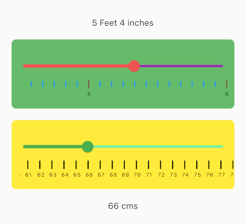 flutter_scale_ruler Card Image