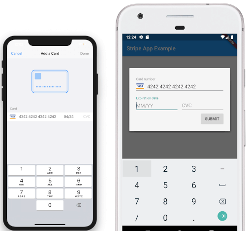 flutter_stripe_payment Card Image