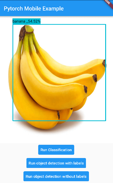 pytorch_lite Card Image